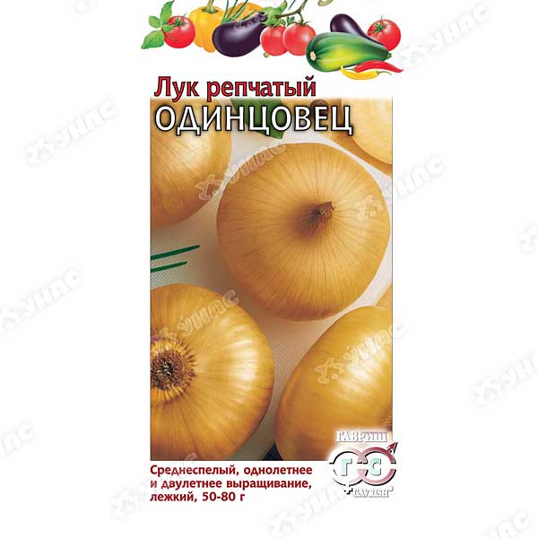 Лук Одинцовец репч. Гавриш Ц