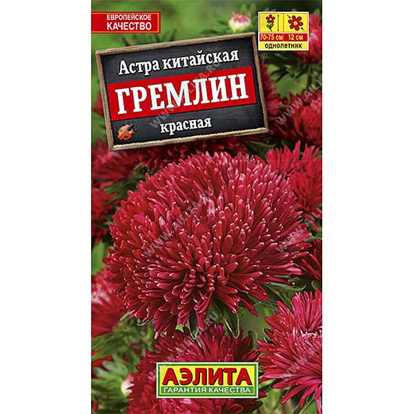 Астра Гремлин красная Аэлита Ц 