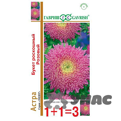 Астра Букет розовый Гавриш Ц 