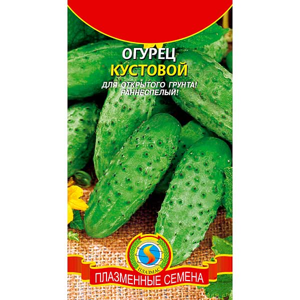 Огурец Кустовой Плазма Ц