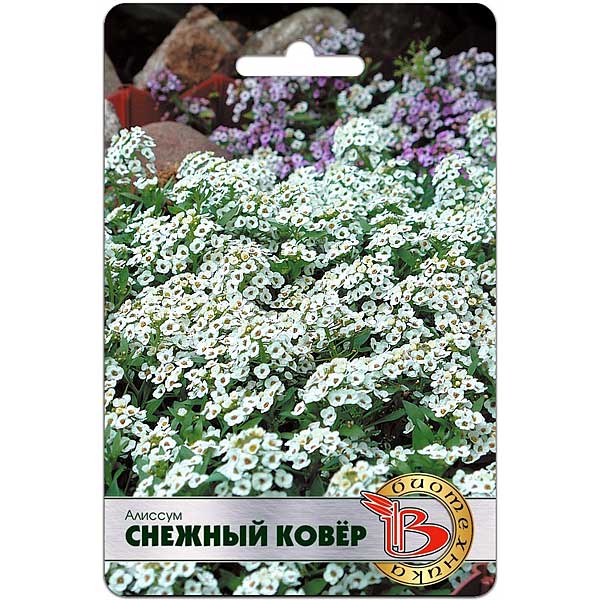 Семена Алиссум Снежный Ковер Биотехника Ц 