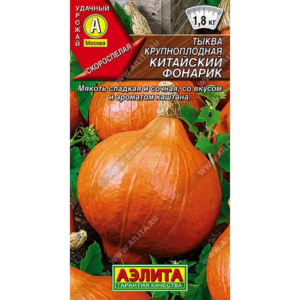 Тыква Китайский фонарик Аэлита Ц