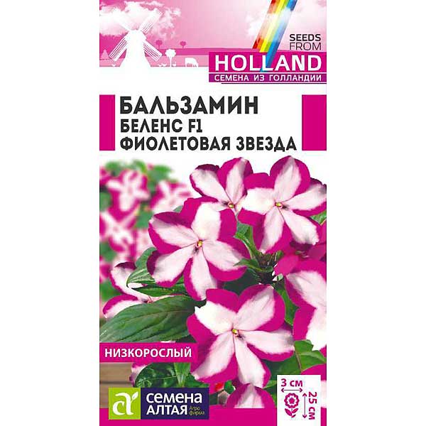 Бальзамин Беленс Фиолетовая звезда СемАлт Ц 