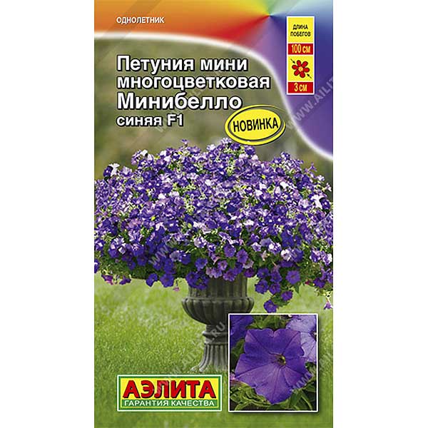Петуния Минибелло синяя Аэлита Ц 