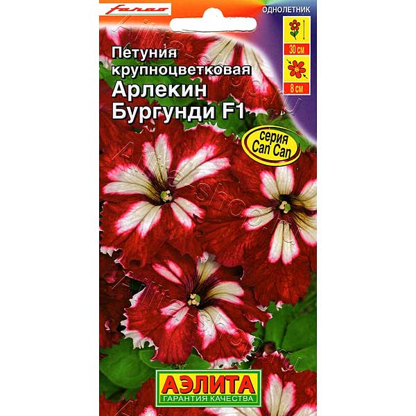 Петуния Арлекин Бургунди F1 Аэлита Ц 