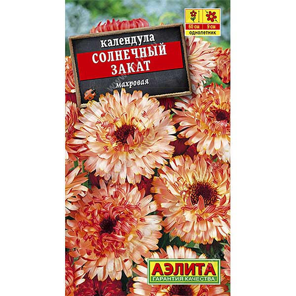 Календула Солнечный Закат Аэлита Ц 