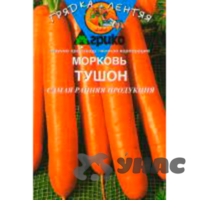 Морковь Тушон (ГЛ) Агрико