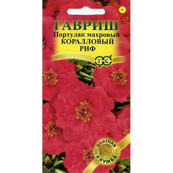 Портулак Коралловый Риф Гавриш Ц 