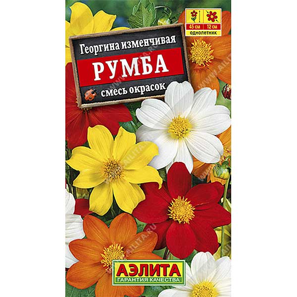 Георгин Румба смесь окрасок Аэлита Ц 