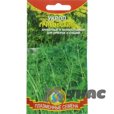 Укроп Грибовский Плазма Ц