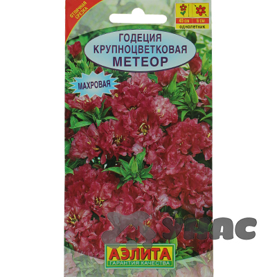 Годеция Метеор Аэлита Ц 