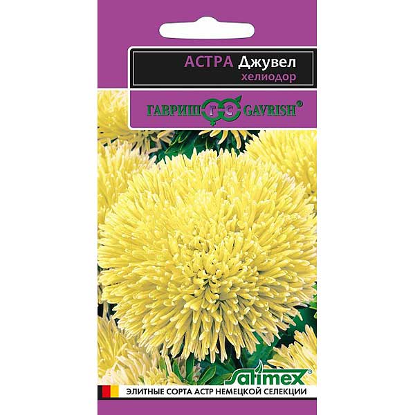 Астра Джувел Хелиодор игольчато-коготковая Гавриш Ц 