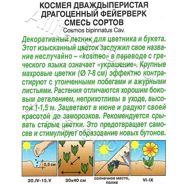 Космея Драгоценный фейерверк Аэлита Ц 