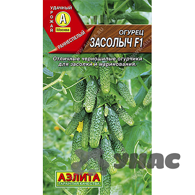 Огурец Засолыч Аэлита Ц