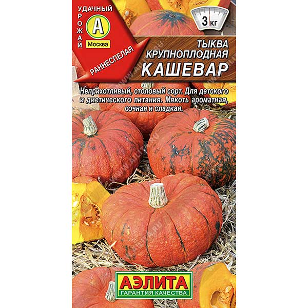Тыква Кашевар Аэлита Ц
