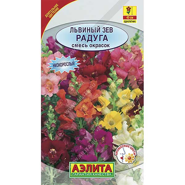 Львиный зев Радуга низкорослый Аэлита Ц 