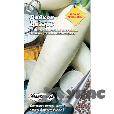 Дайкон Цезарь Аэлита Ц
