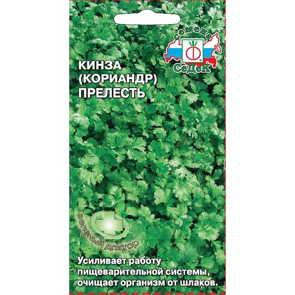 Кориандр Прелесть Седек Ц