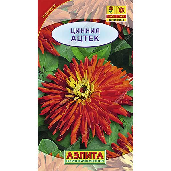 Циния Ацтек Аэлита Ц х10 