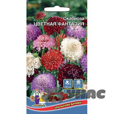 Скабиоза Цветная Фантазия Марс Ц 