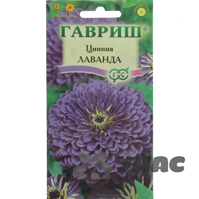 Циния Лаванда Гавриш Ц 