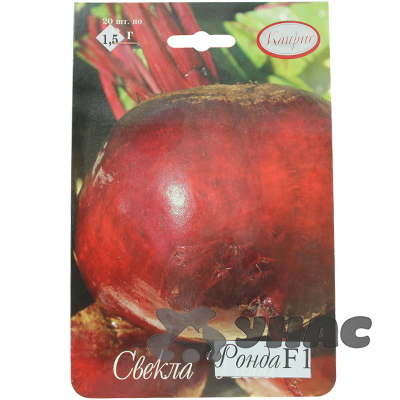 Свекла Ронда (Нидерланды) Каприс