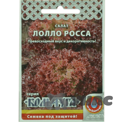 Салат Лолло-Росса "Кольчуга" НК