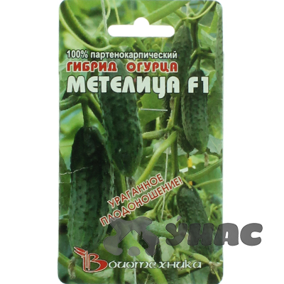 Огурец Метелица Биотехника Ц