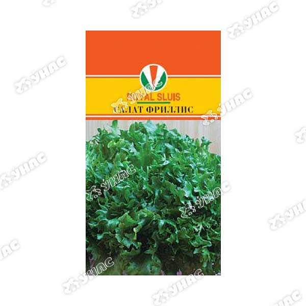 Салат Фриллис Маринда