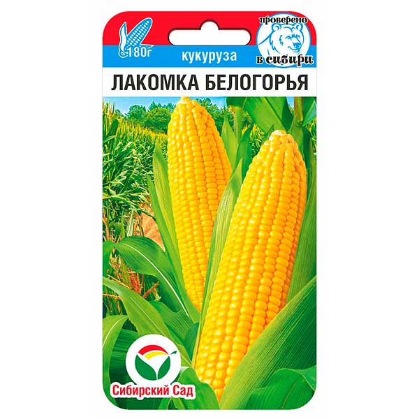 Кукуруза Лакомка Белогорья СибСад