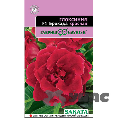 КОМ Глоксиния Брокада красная гранул Гавриш Ц 