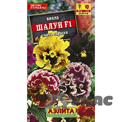 Виола Шалун смесь Аэлита Ц 