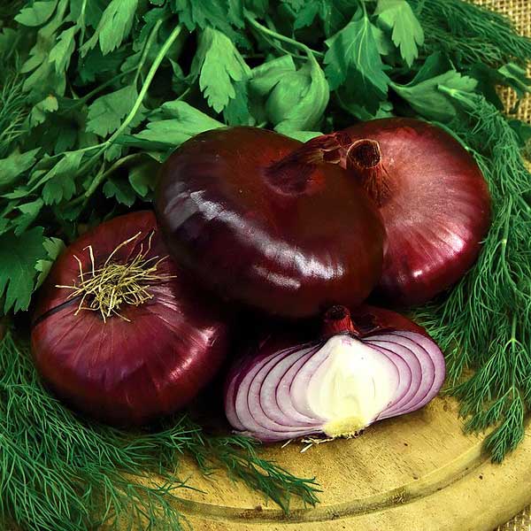 Лук Ялтинский плюс НК Ц