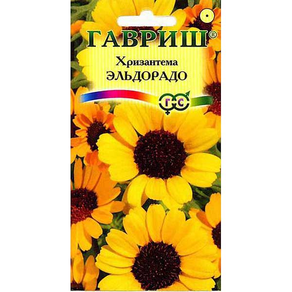 Хризантема Эльдорадо Гавриш Ц 