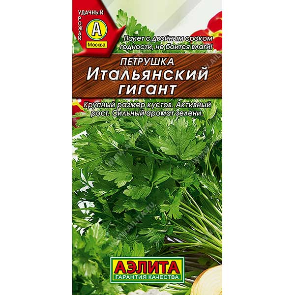 Петрушка Итальянский гигант Аэлита Ц