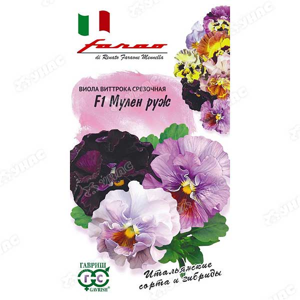 Виола Виттрока Мулен руж Гавриш Ц 