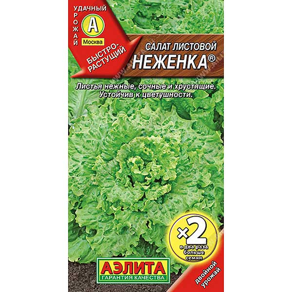 Салат Неженка 2-ая граммовка Аэлита Ц