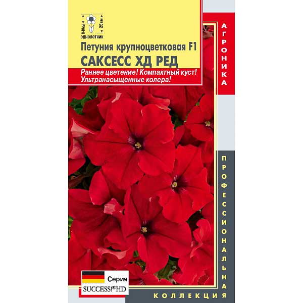 Петуния Саксесс ХД Ред Плазма Ц 