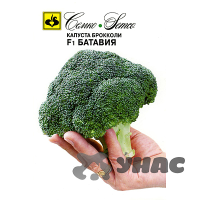 Капуста брокколи Батавия Семко Ц
