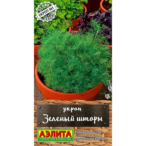 Укроп Зеленый шторм Аэлита Ц