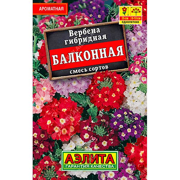 Вербена Балконная, смесь "Лидер" Аэлита Ц 