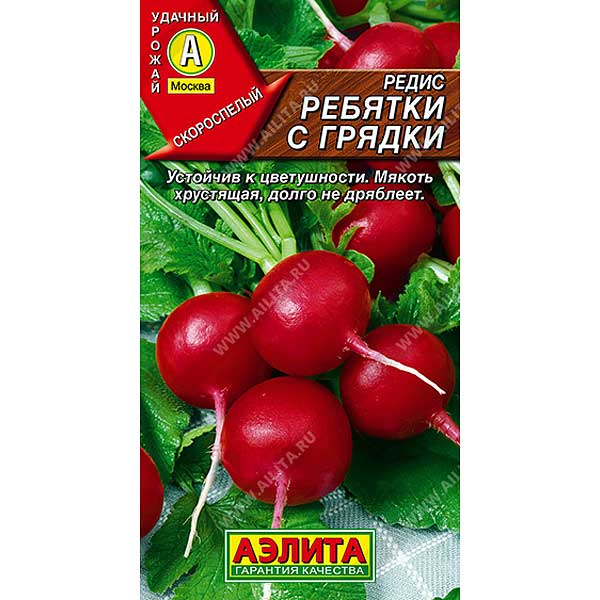 Редис Ребятки с грядки Аэлита Ц x10