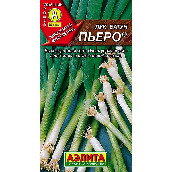 Лук батун Пьеро Аэлита Ц