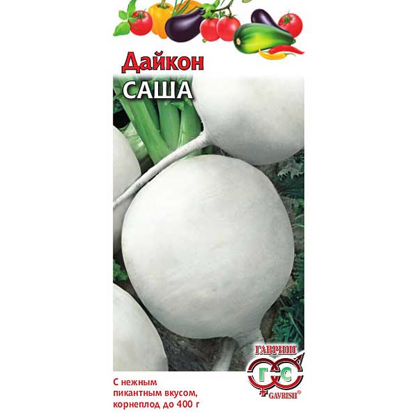 Дайкон Саша Гавриш Ц