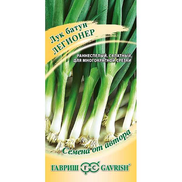 Лук батун Легионер Гавриш Ц