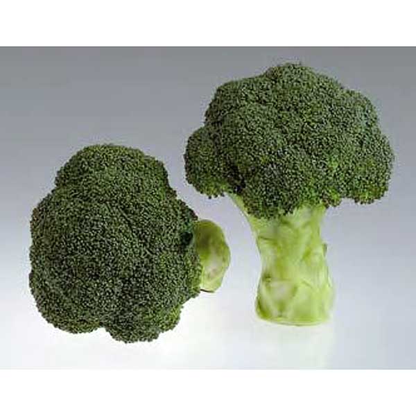 Капуста брокколи Грин Мэджик 2500шт SAKATA