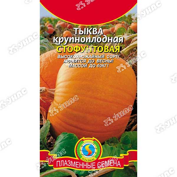Тыква Стофунтовая Плазма Ц