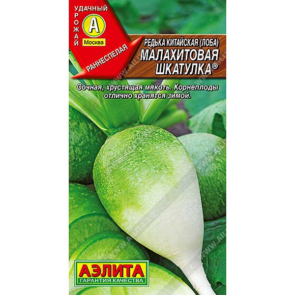 Редька Малахитовая шкатулка кит. Аэлита Ц х10