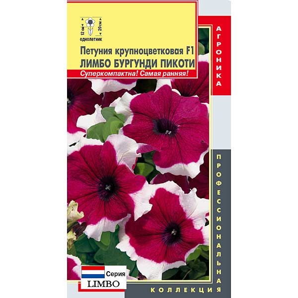 Петуния Лимбо Ред Пикоти Плазма Ц 