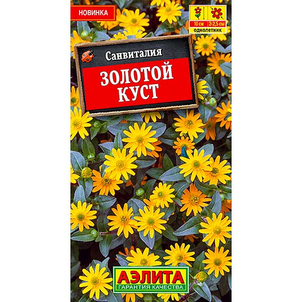 Санвиталия Золотой куст Аэлита Ц 